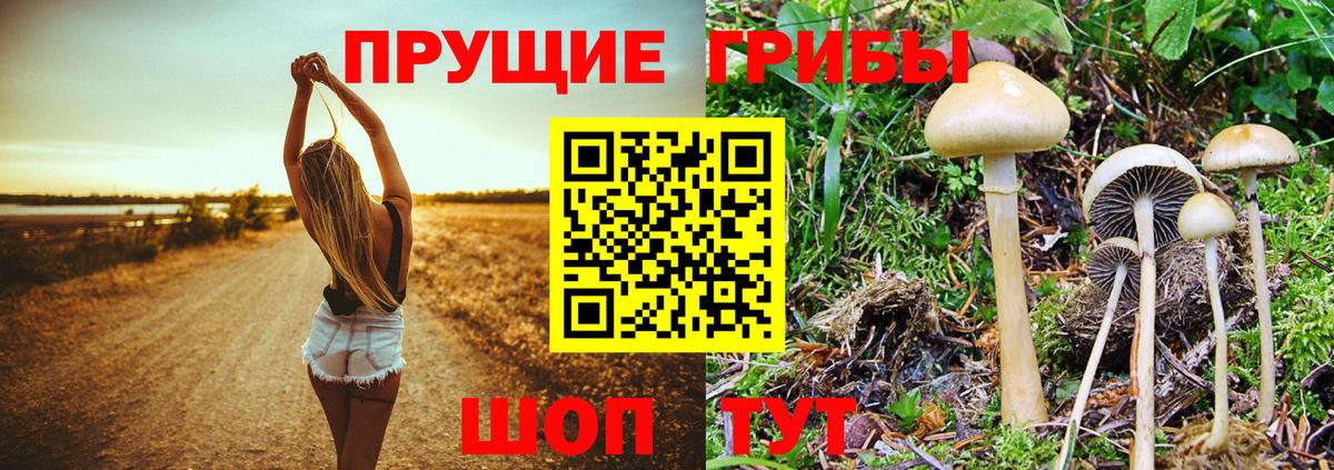 Вейп ТГК  ЭКСТАЗИ  Кокаин  Альфа ПВП СК кристаллы  Омск  Меф кристаллы  Codein  Вход с VPN  ГАШИШ  Каннабис 