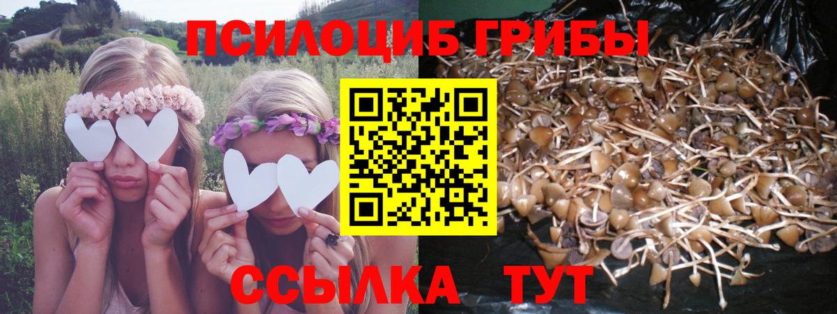 Псилоцибиновые грибы прущие грибы Омск