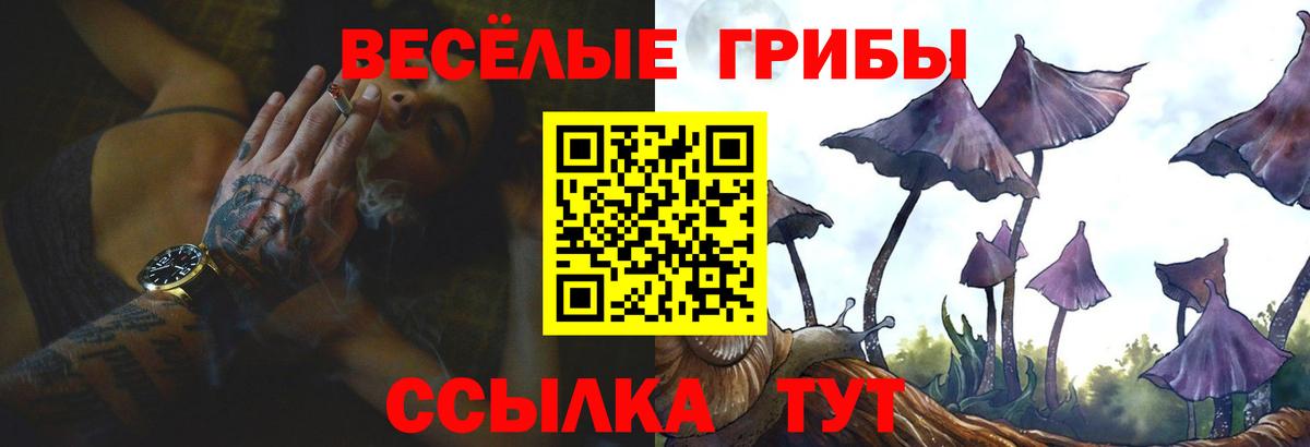 Омск  цена наркотик  Вход с VPN  Галлюциногенные грибы ЛСД 